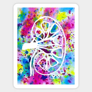 Funfetti Kidney (Original) Sticker